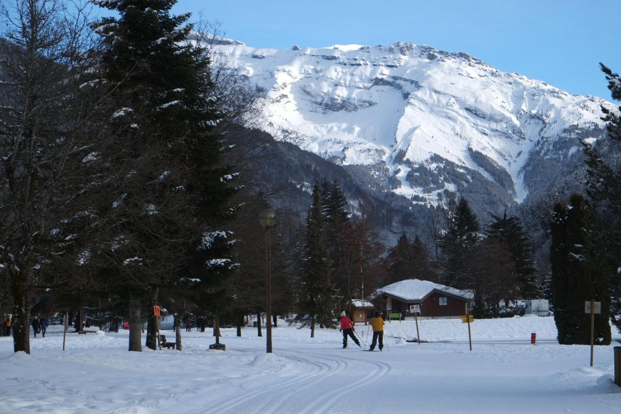 Particulier Loue 2 Appartements Communicants Dans Chalet A Samoens Jusqu A 16 Couchages Exterior foto