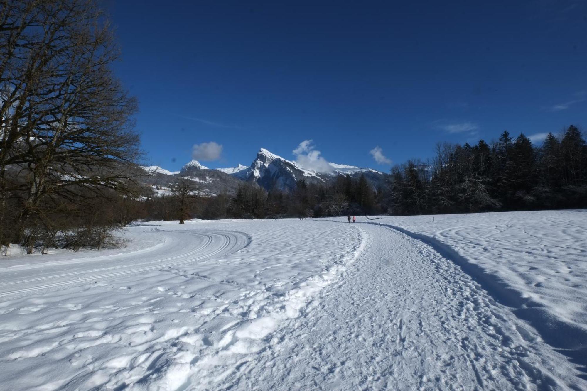 Particulier Loue 2 Appartements Communicants Dans Chalet A Samoens Jusqu A 16 Couchages Exterior foto
